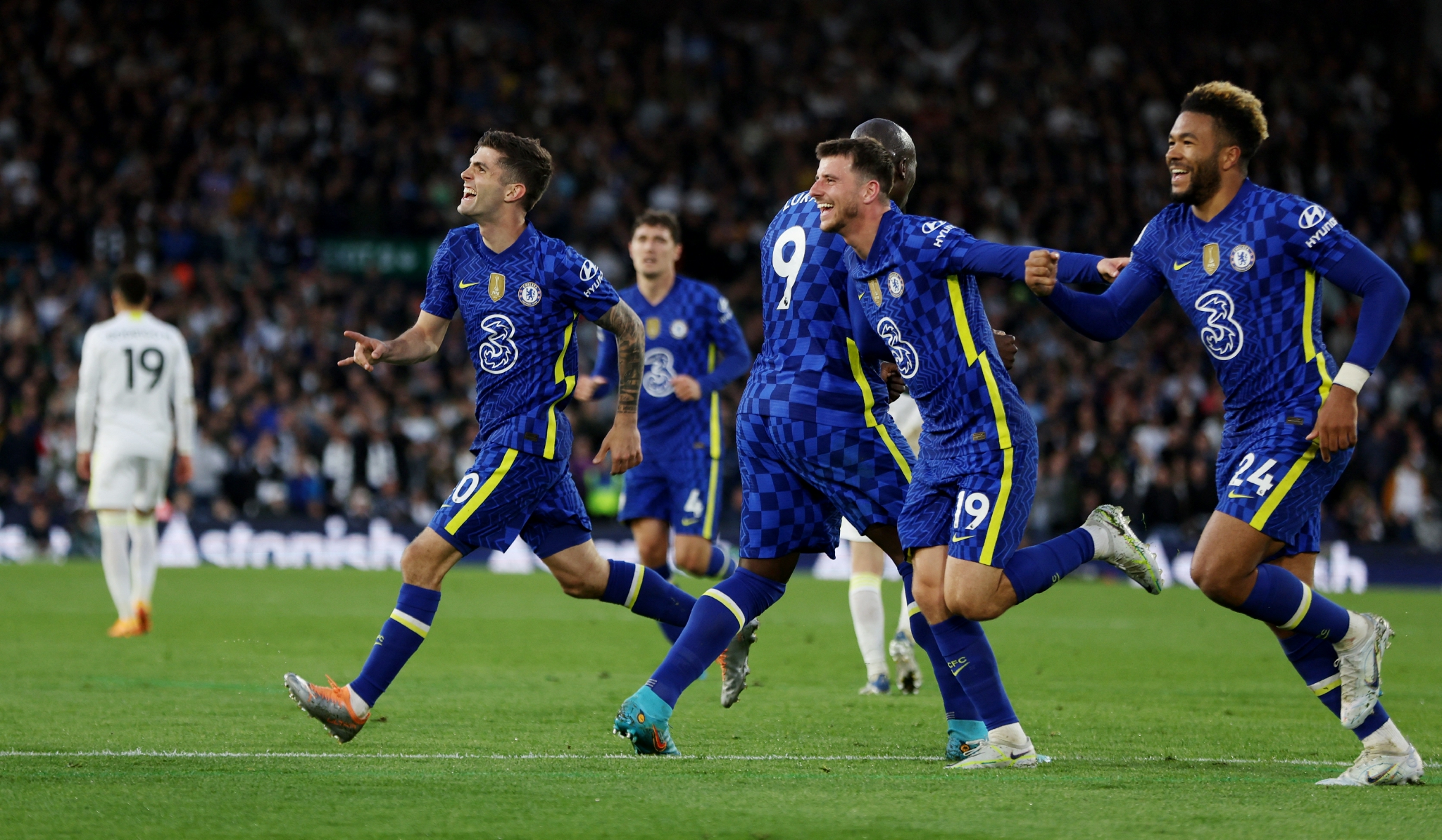 以极快的速 以极快的速